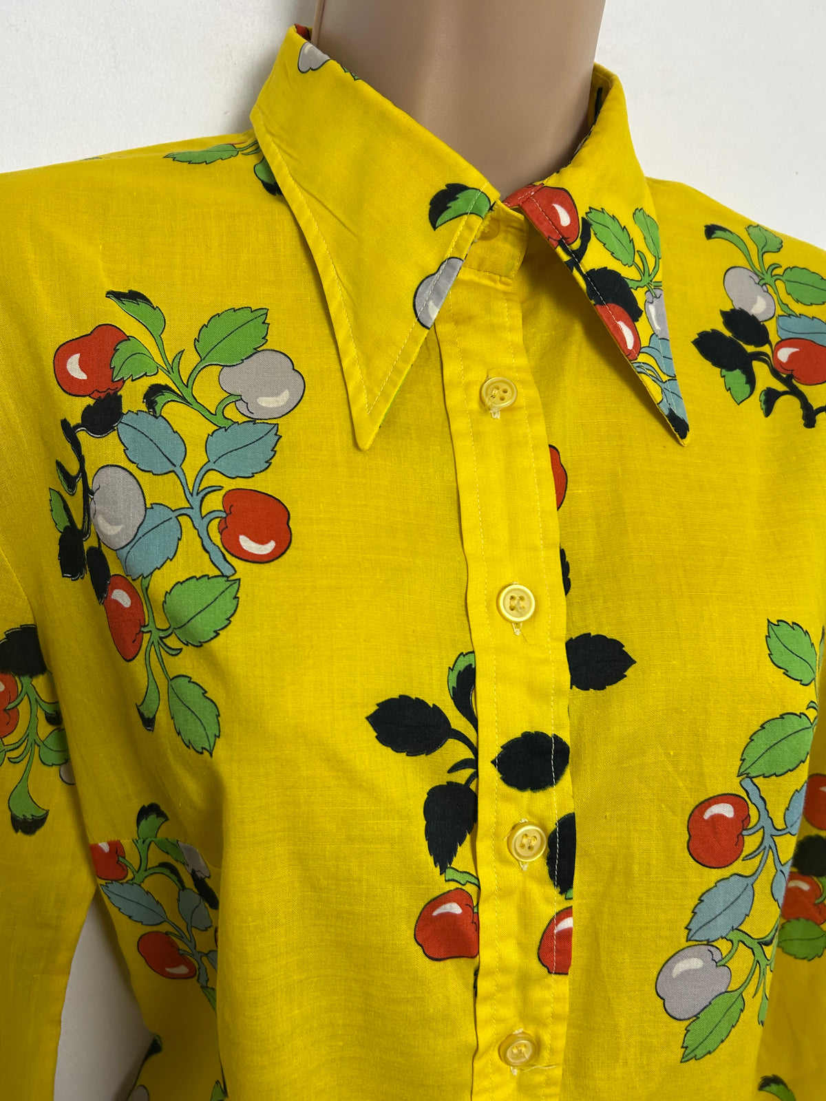 Vintage 1970s Size 12-14 Yellow Red Blue & Green Berry & Leaf Print Dagger Collar Long Sleeve Cotton Shirt