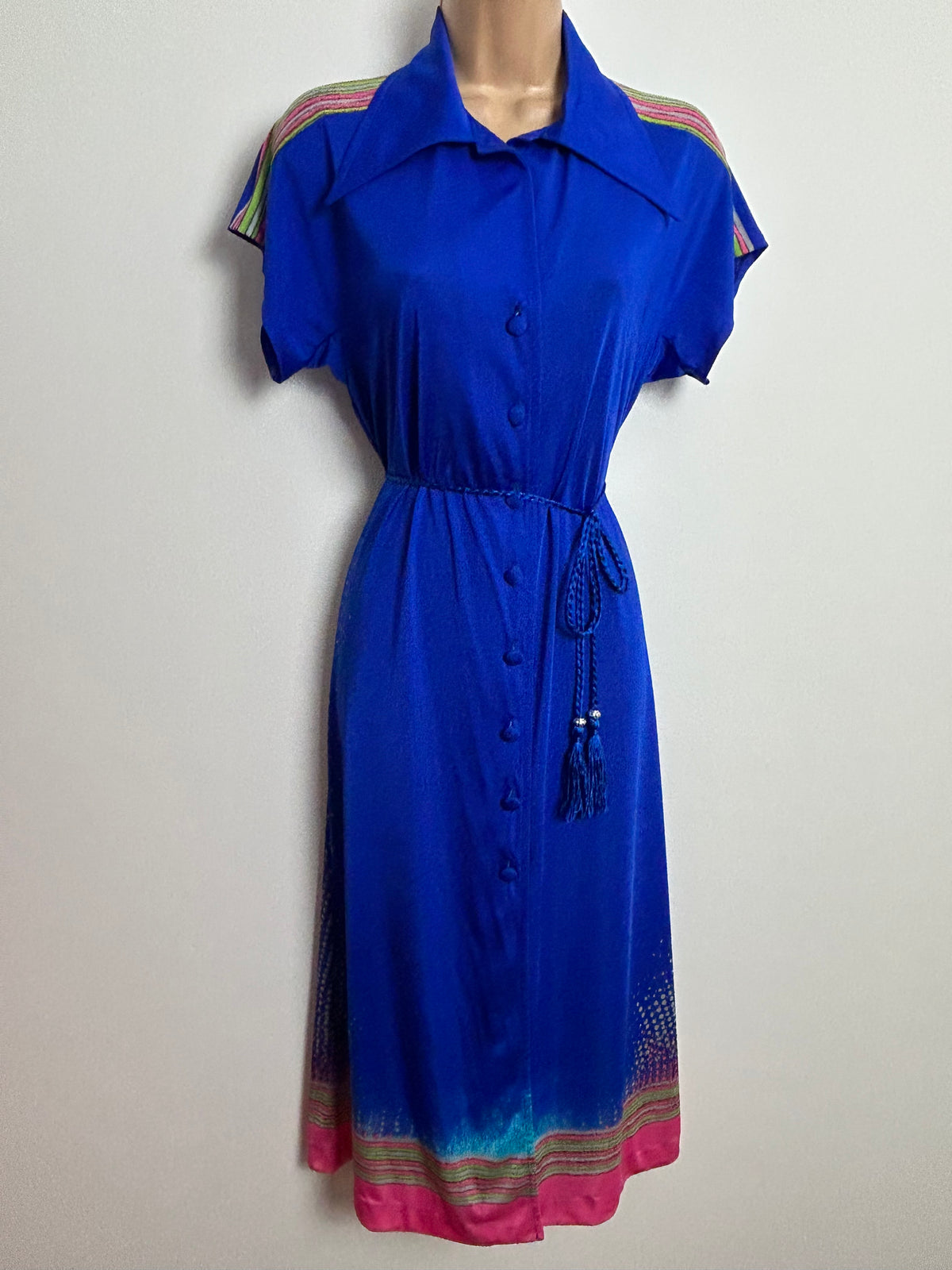 Vintage 1970s Super Rare PRINCESS RASPANTI Size 12-14 Blue Pink & Green Print Dagger Collar Belted Dress